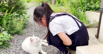 女の子とお話しする猫