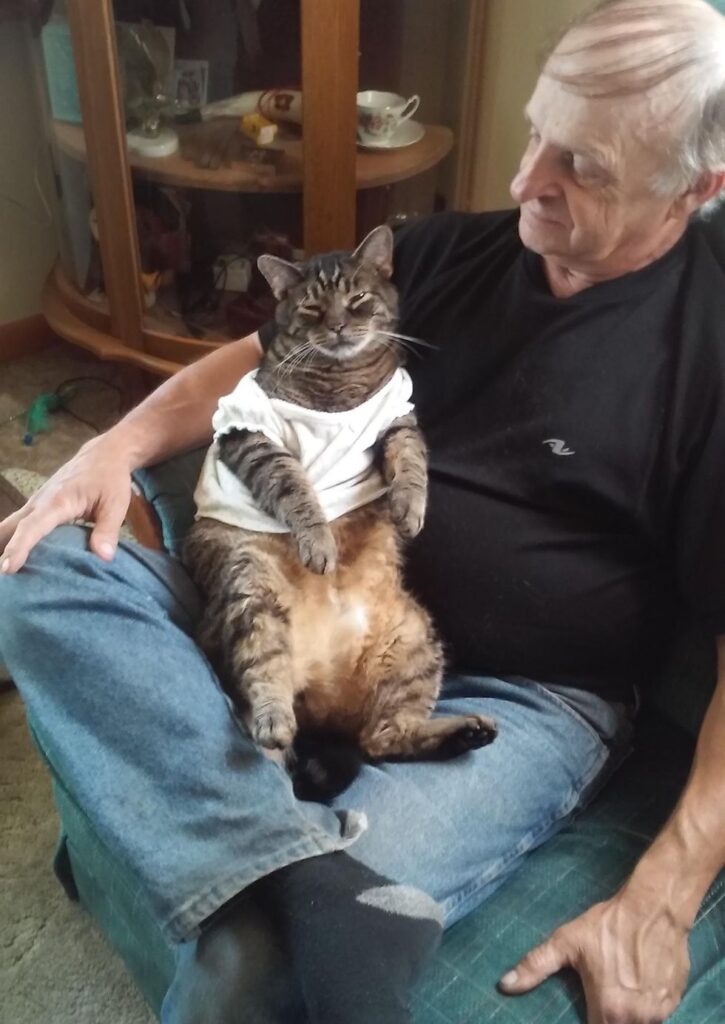 お父さんに座る猫