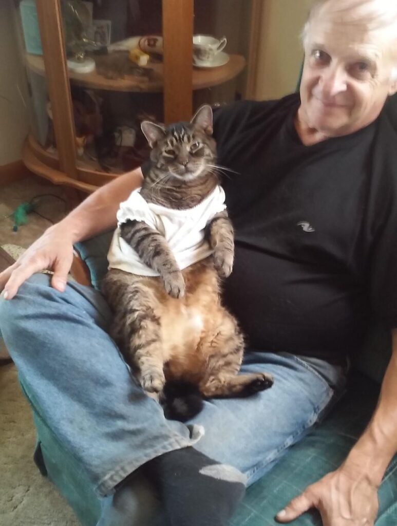 お父さんに座る猫