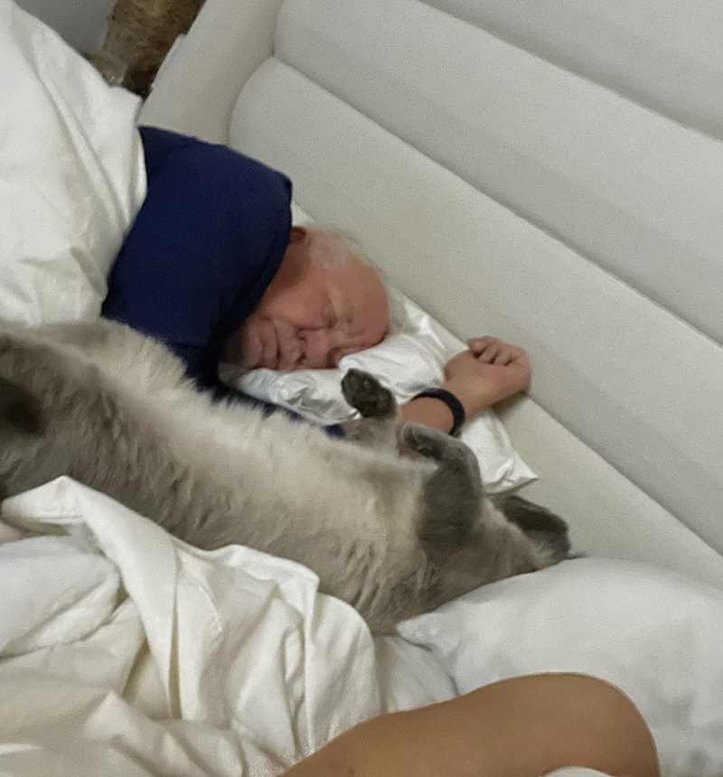 猫と眠る男性