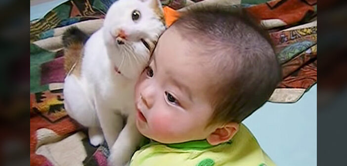 赤ちゃんと猫さん