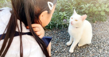 会話する猫と女の子