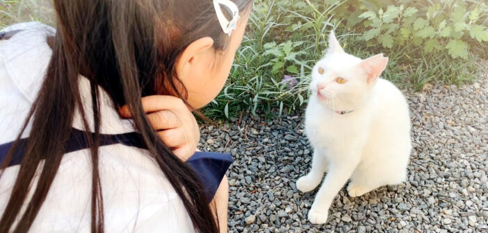 会話する猫と女の子