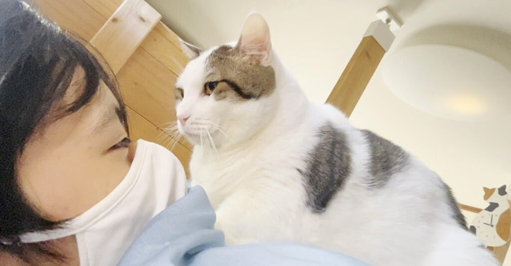 猫が好き sukisugi_cat_title-1024x534.jpg