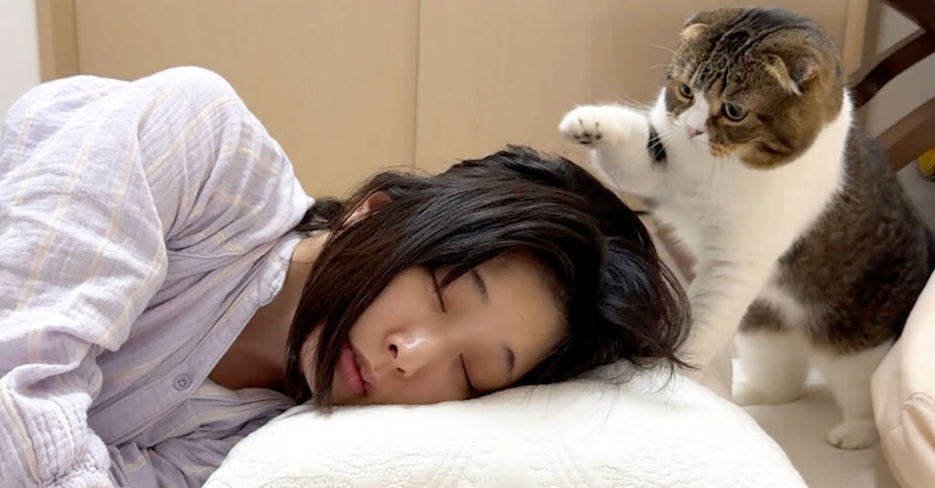 ねこまま♡ 疲れ果てて2度寝したママの姿を発見した猫さん。起こしていいか迷って