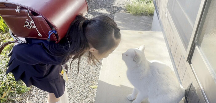 猫に人間の挨拶を教える女の子