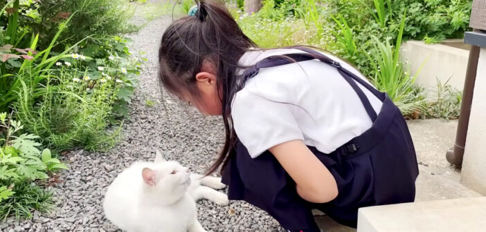 女の子とお話しする猫