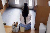 飼い主さんに乗る猫