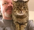 ボス猫