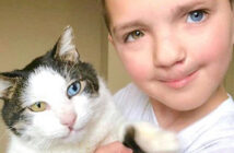 男の子と猫