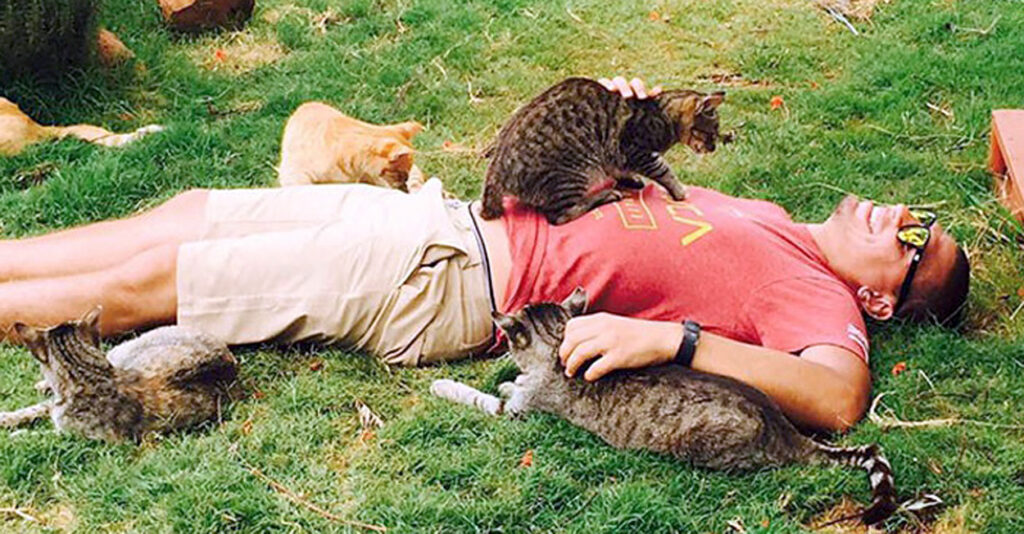 オアフ島から来た猫 On Cat Island, a cat came to see me off at the ferry! The