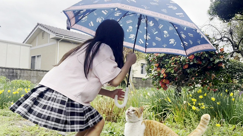 猫に傘をさす女の子