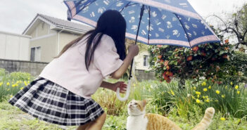 雨降る庭で庭猫に傘を差し出す女の子。どうやら猫はとっても嬉しかったようで、「ありがとう」の気持ちを伝えてきた♡