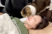 ママを起こす猫
