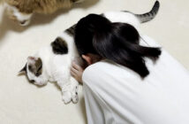 お姉ちゃんにお腹を差し出す猫