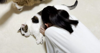 疲れたお姉ちゃんにお腹を差し出して癒してあげる猫さん。ナデナデしてもらうと最高の幸せを感じたようで… ( *´艸`)♡