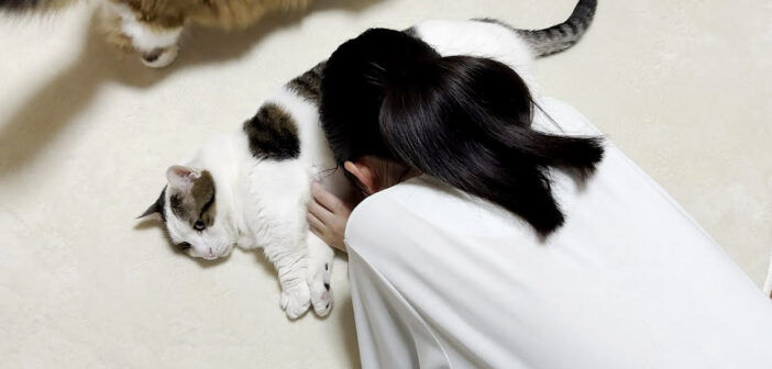 疲れたお姉ちゃんにお腹を差し出して癒してあげる猫さん。ナデナデしてもらうと最高の幸せを感じたようで… ( *´艸｀)♡