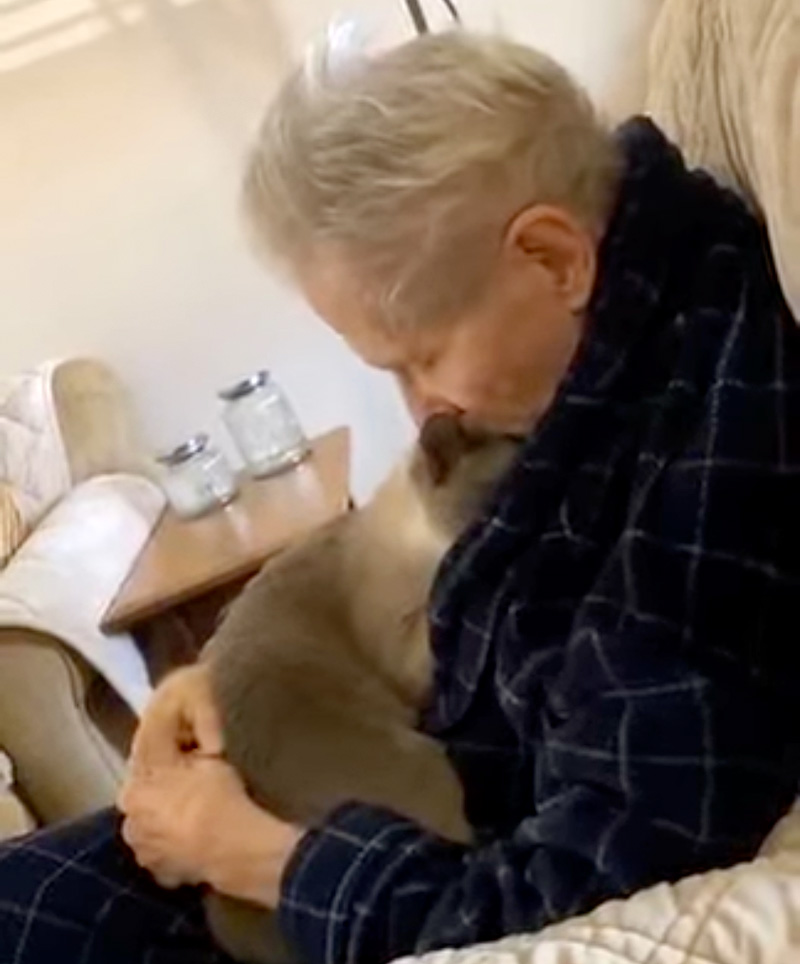アルツハイマー病の飼い主さんに寄り添う猫