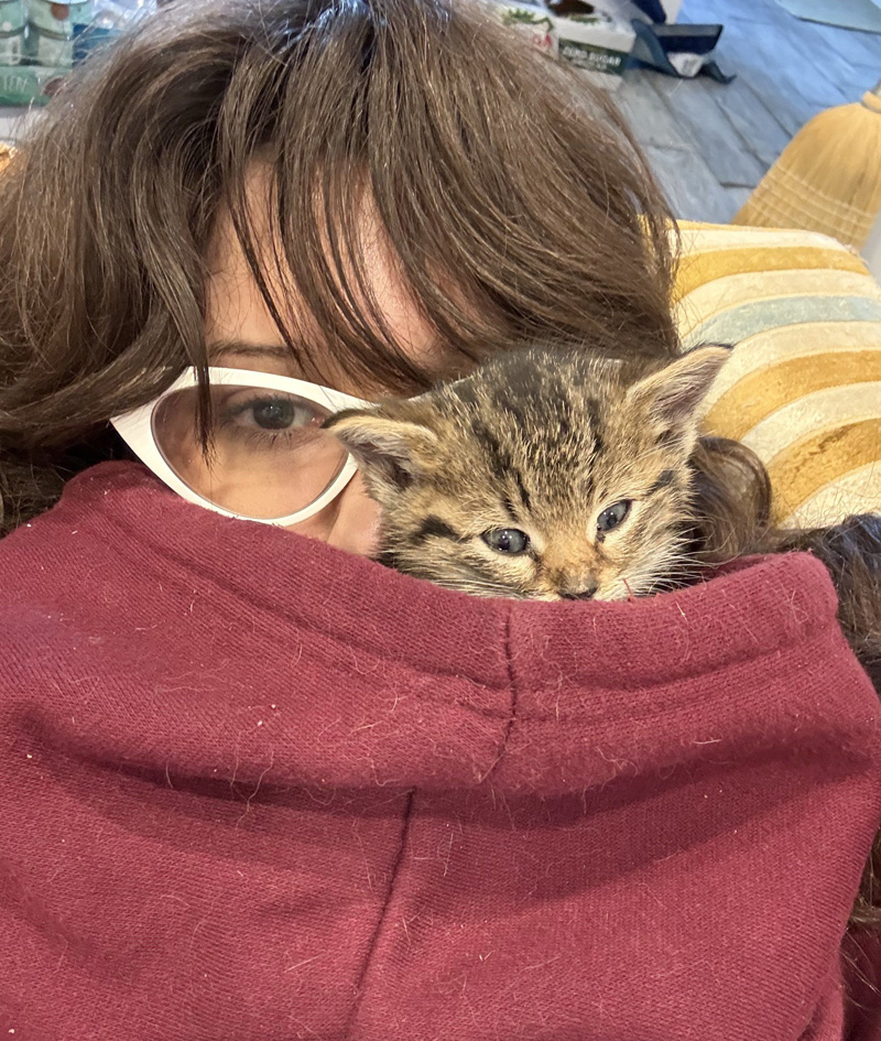 パーカーに入った子猫