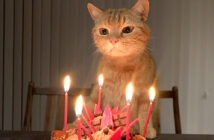 誕生日ケーキと猫