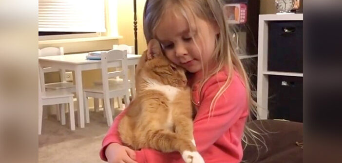 女の子と猫