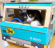 ダンボールカーに乗る猫