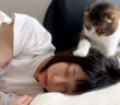飼い主さんを踏みつけて起こす猫