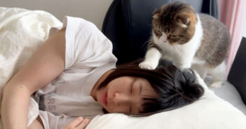 爆睡する飼い主さんを踏みつけて起こす猫さん。かまってもらいたくて仕方がない猫さんが可愛すぎる ( *´艸｀)♡
