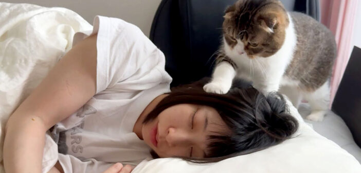 爆睡する飼い主さんを踏みつけて起こす猫さん。かまってもらいたくて仕方がない猫さんが可愛すぎる ( *´艸｀)♡