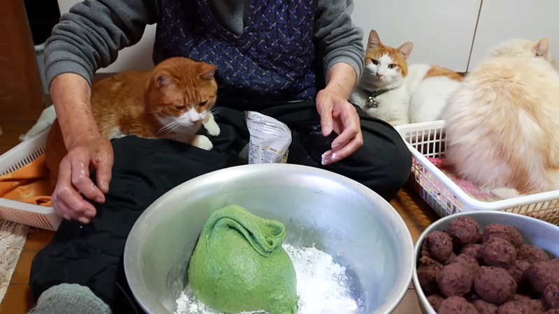 草餅作りをするおばあちゃんと猫達