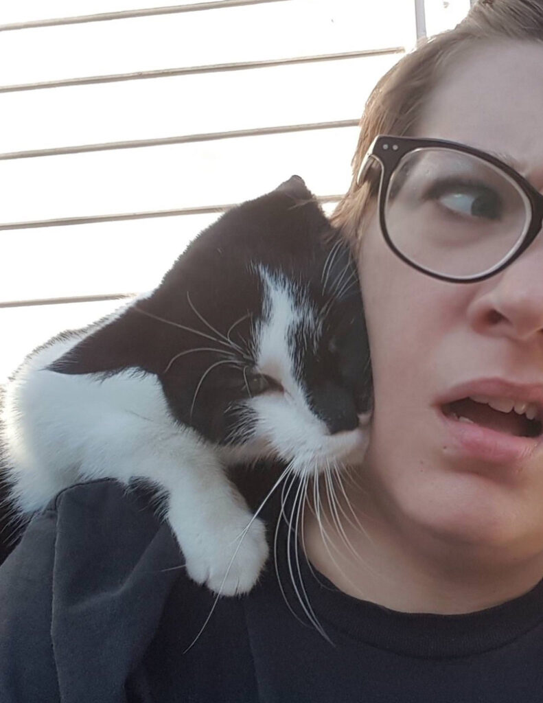 強引にスリスリしてきた猫