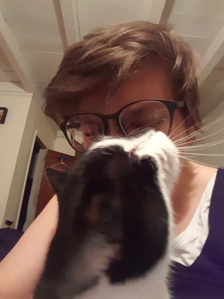スリスリする猫