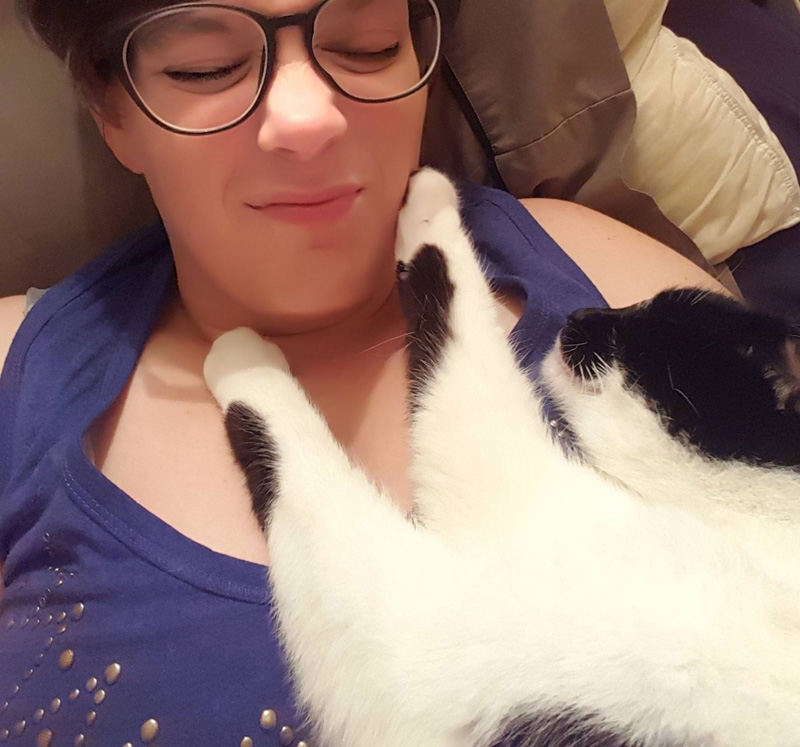 くつろぐ猫
