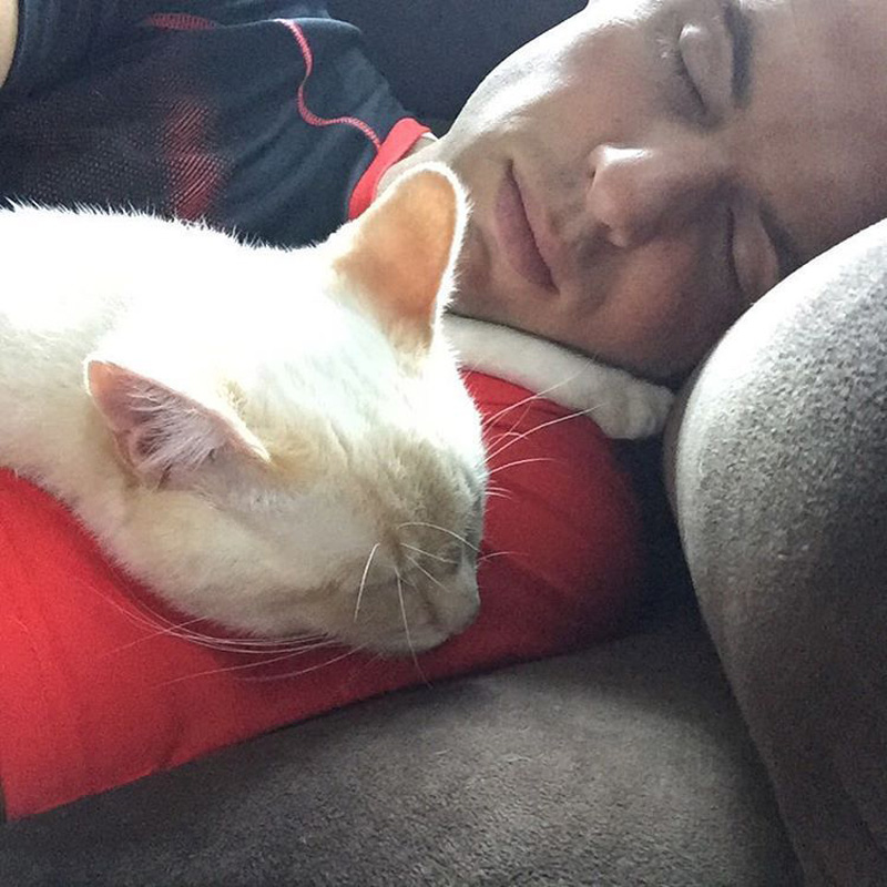 眠る子猫