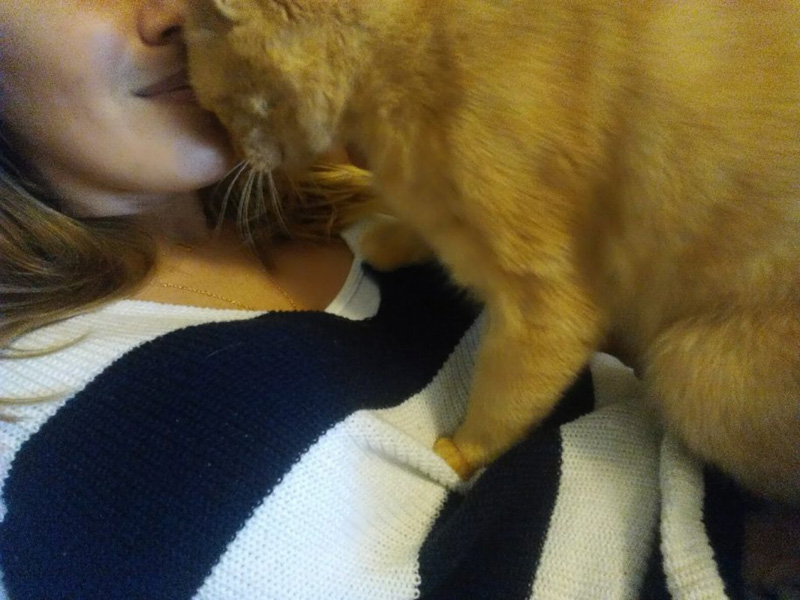 幸せいっぱいの猫