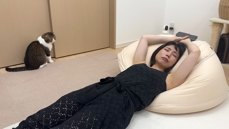 ママを起こそうとする猫