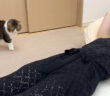 ママをどうしても起こしたい猫
