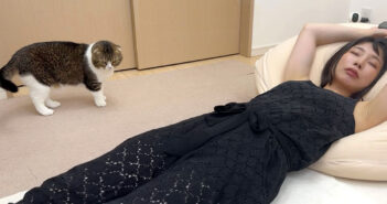 何をやっても起きない爆睡中のママに猫さんがマジギレして、過去１で大変なことに (*ﾟ0ﾟ)！