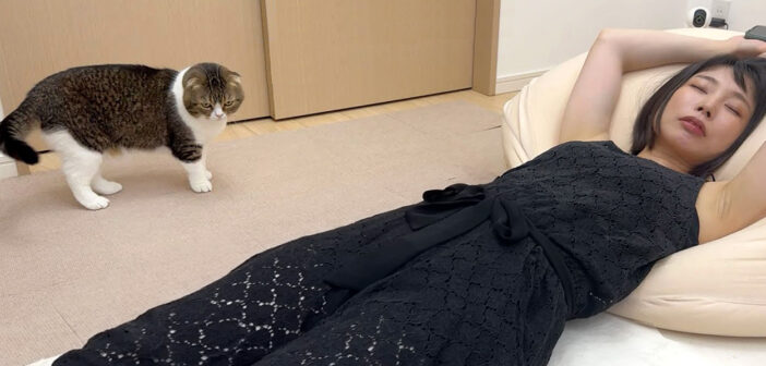 何をやっても起きない爆睡中のママに猫さんがマジギレして、過去１で大変なことに (*ﾟ0ﾟ)！