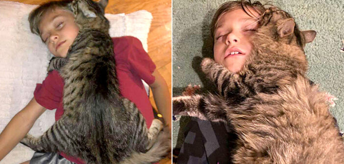 保護先で出会った少年のことが大好きになった猫。毎日少年をギュッと抱きしめて、幸せいっぱいに夢の世界へ♪