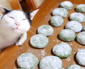 草餅作りをするおばあちゃんを見守る猫達。その懐かしさを感じる光景に自然と心が和む (*´ｪ｀*)