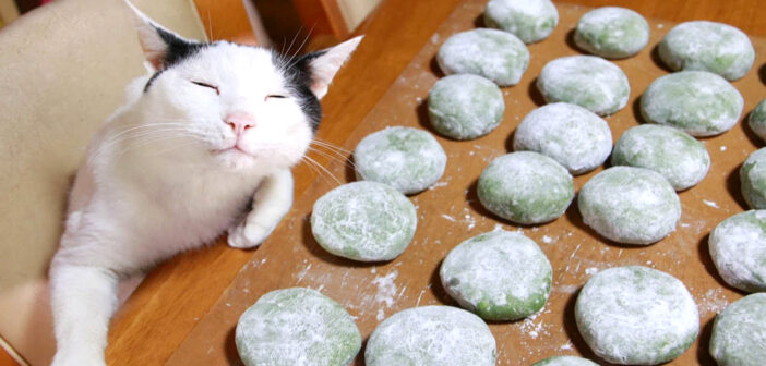 草餅作りをするおばあちゃんを見守る猫達。その懐かしさを感じる光景に自然と心が和む (*´ｪ｀*)