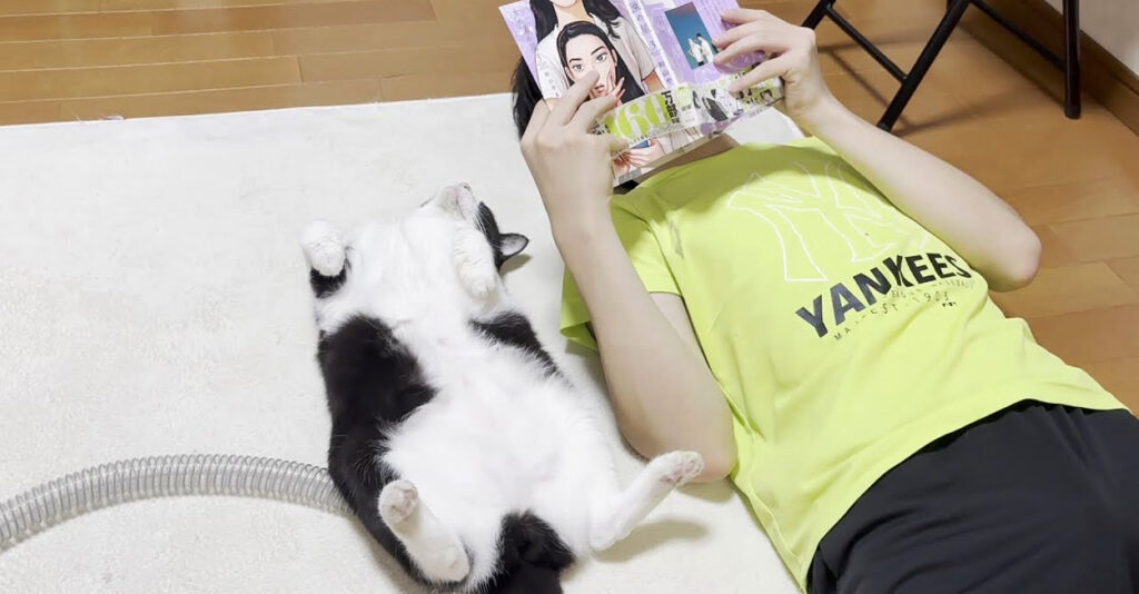 お兄ちゃんと一緒に漫画を読む猫さん。想像以上にしっかりと読んでる