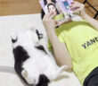 お兄ちゃんと一緒に漫画を読む猫