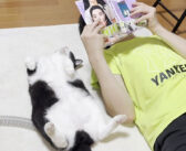 お兄ちゃんと一緒に漫画を読む猫さん。想像以上にしっかりと読んでる様子が可愛かった ( *´艸｀)♡