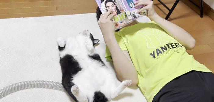 お兄ちゃんと一緒に漫画を読む猫さん。想像以上にしっかりと読んでる様子が可愛かった ( *´艸｀)♡