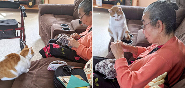 大切なぬいぐるみをおばあちゃんに治療してもらった猫さん。裁縫が終わるまで、ひたすら見守り続ける様子に癒される♡
