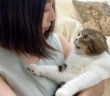 カミナリが怖くてママに抱きつく猫