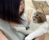 カミナリが怖くて思わずママにくっついちゃう猫さん。避難場所でドキドキが止まらない様子が妙に可愛かった♡