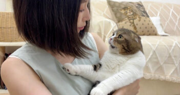 カミナリが怖くてママに抱きつく猫